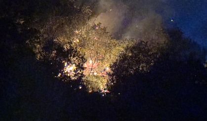 Manisa'da Orman Yangınına Hızlı Müdahale