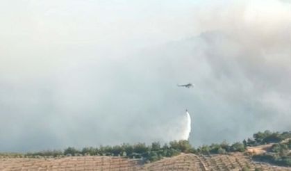 Manisa’da Orman Yangınları 4. Gününde