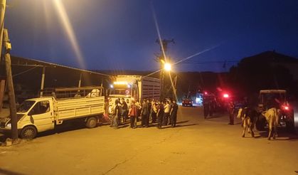 Manisa'da  yangın Salihli ilçesi sınırlarına kadar ulaştı