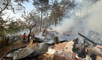 Mudurnu'da ormana sıçrayan yangın söndürüldü
