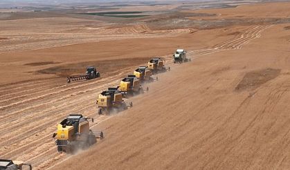 Polatlı'da Hasat Başladı