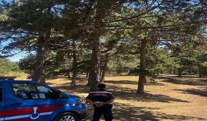 Sakarya'da 'havai fişek' yasağı