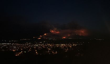 Sakarya'da orman yangınına müdahale!