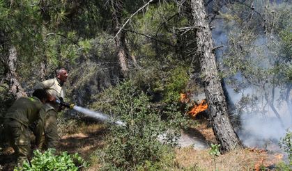 Tekirdağ'daki orman yangını söndürüldü!