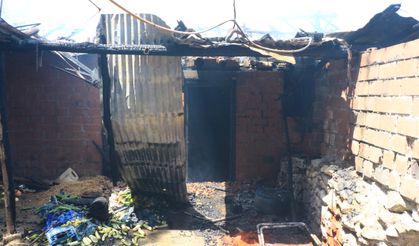 Yangında 7 büyükbaş öldü!