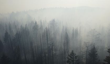 Çankırı'daki yangın devam ediyor!