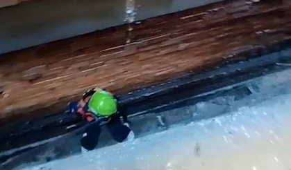 Çaycuma’da Martı Kurtarma Operasyonu!