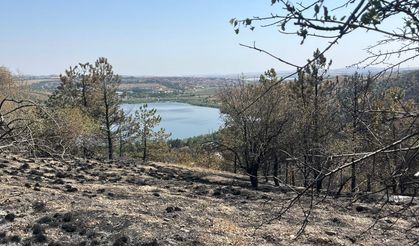 Eymir’de Yangın Sonrası İlk Rapor! Kaç Hayvan Kurtarıldı?
