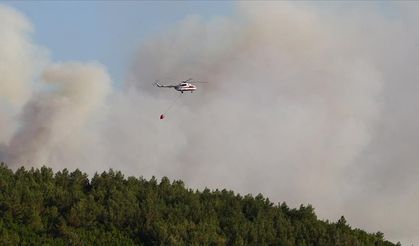 Otluk alanda çıkan yangın çıktı