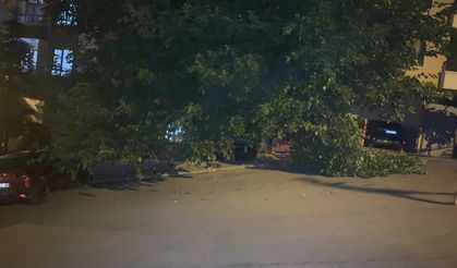 Keçiören'de sağanak sonrası tehlike!