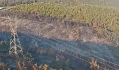 Manisa'da orman yangını