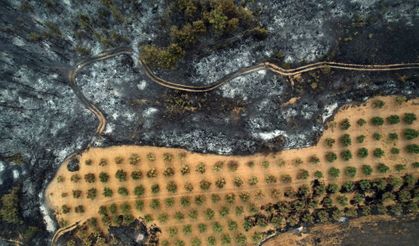 Sakarya-Bilecik Yangını 5. Gününde: Karayolu Ulaşıma Kapatıldı!