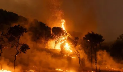 Kütahya'daki 6 Hektar Orman Yandı