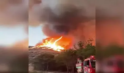 Orman yangınında ateş hortumu oldu