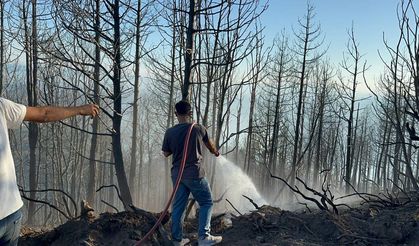 Sakarya'da yangın çıktı