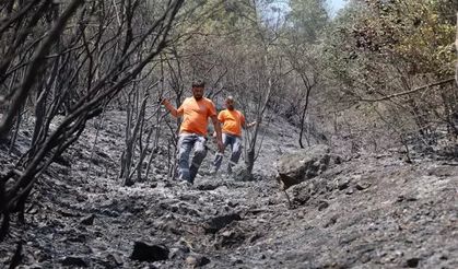 Sakarya'da Patili Seferberlik!