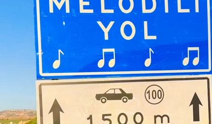 Melodili yolda komik panik!