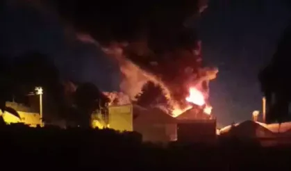 Yalova'da Depoda Yangın