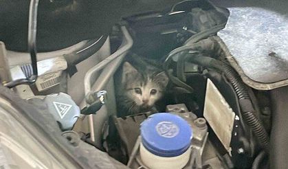 Motora sıkışan yavru kedi kurtarıldı