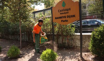 Çankaya'daki Parklar Yenileniyor!