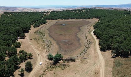 Bilecik'te Gölet Kurudu: İklim Krizi Doğayı Vurdu