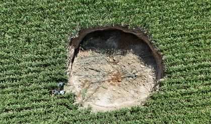 Karaman'da mısır tarlasında obruk!