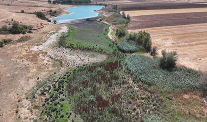 Korucuköy Göleti'nde su seviyesi azaldı