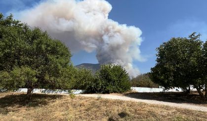 Pamukkale'de Orman Yangını