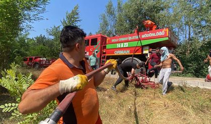 Bolu'da orman yangını, kısa sürede kontrol altına alındı