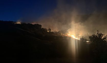 Diyarbakır’da Ormanlık Alanda Çıkan Yangın Söndürüldü