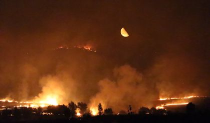 Diyarbakır'daki yangın kontrol altına alındı