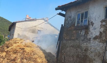 Köyde çıkan yangında 2 ev ve eklentileri yandı!