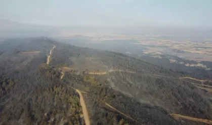 Orman yangınının tahribatı görüntülendi