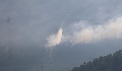 Denizli'de orman yangını devam ediyor