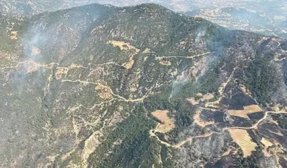 Aydın'daki orman yangını devam ediyor