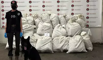 Edirne'de 245 kilo uyuşturucu bulundu