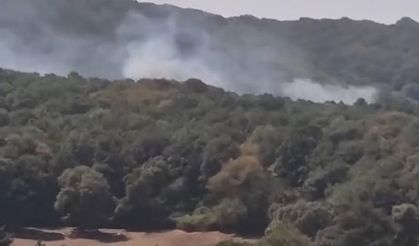 İstanbul'da orman yangını