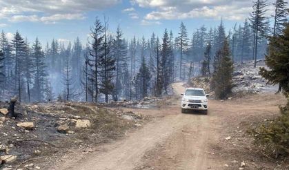 Karaman'da orman yangını