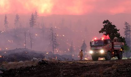 Karaman'da orman yangını