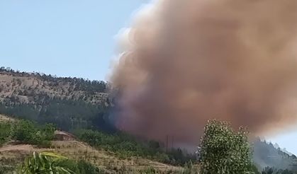 Çorum'da yangına müdahale devam ediyor!