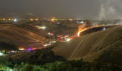 Eymir Gölü Çevresinde Yangın: İki Şüpheli Gözaltında!