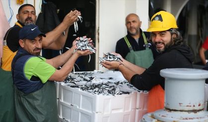 Karadeniz'de hamsi bolluğu yaşanıyor