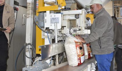 110 bin dekar alanda 37 bin ton kuru fasulye üretimi yapılıyor!