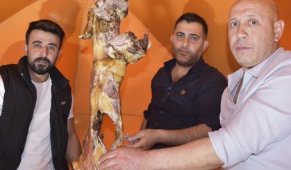 AFAD'dan Erek ve Süphan dağlarına zirve tırmanışı