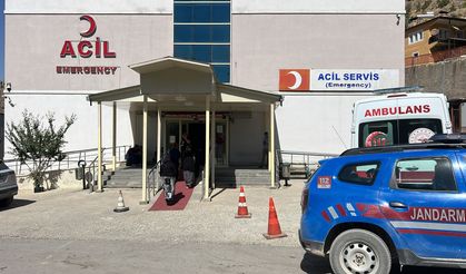 Ağaçtan düşüp öldü