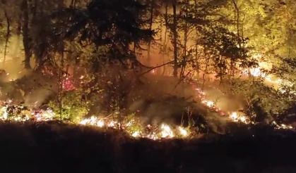 Düzce’de Orman Yangını Kontrol Altında