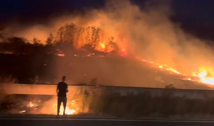 Edirne'de buğday tarlasındaki yangın söndürüldü