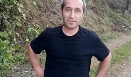 Giresun’da Fındık Patozu Yüklü Kamyon Uçuruma Yuvarlandı: 1 Ölü