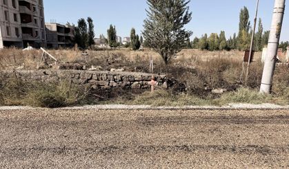 Ot yangınında can verdi!