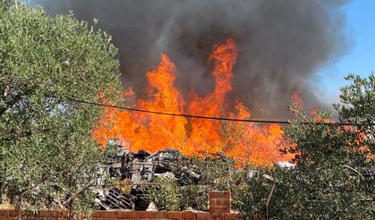 Palet Fabrikasında yangın çıktı!